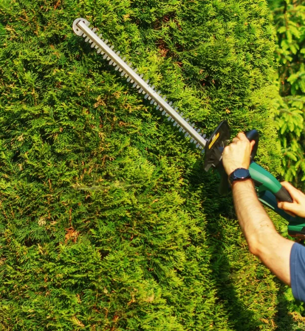 why-choose-us-in-triming-Services