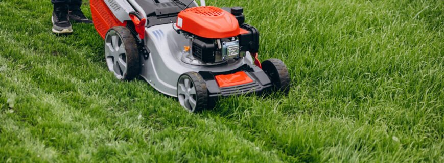 Damaged grass edges from dull mower blades and trimming mistakes