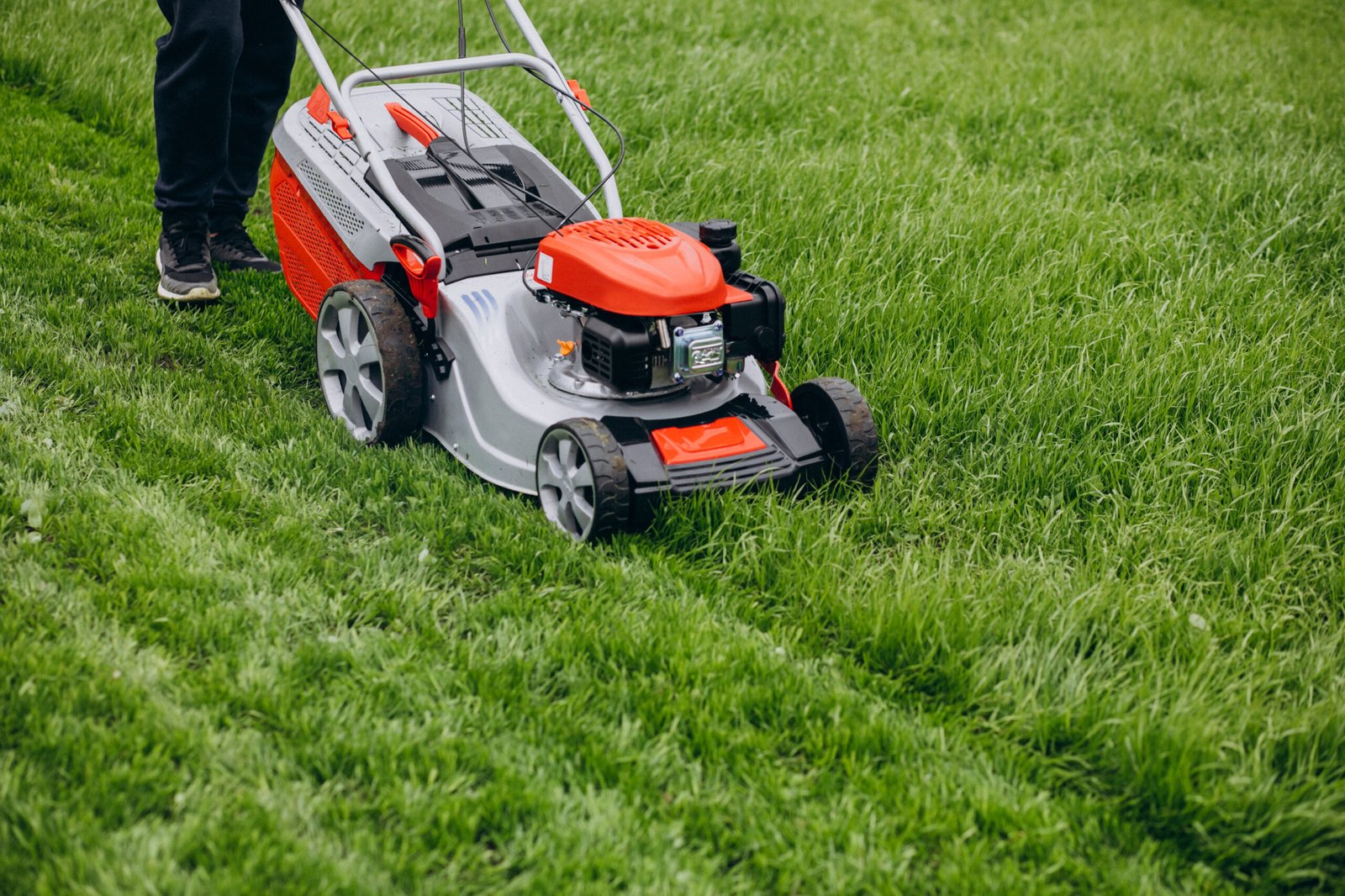 Damaged grass edges from dull mower blades and trimming mistakes