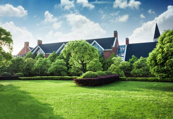 professional lawn care maintenance