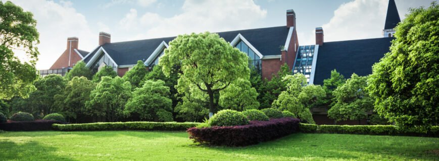 professional lawn care maintenance