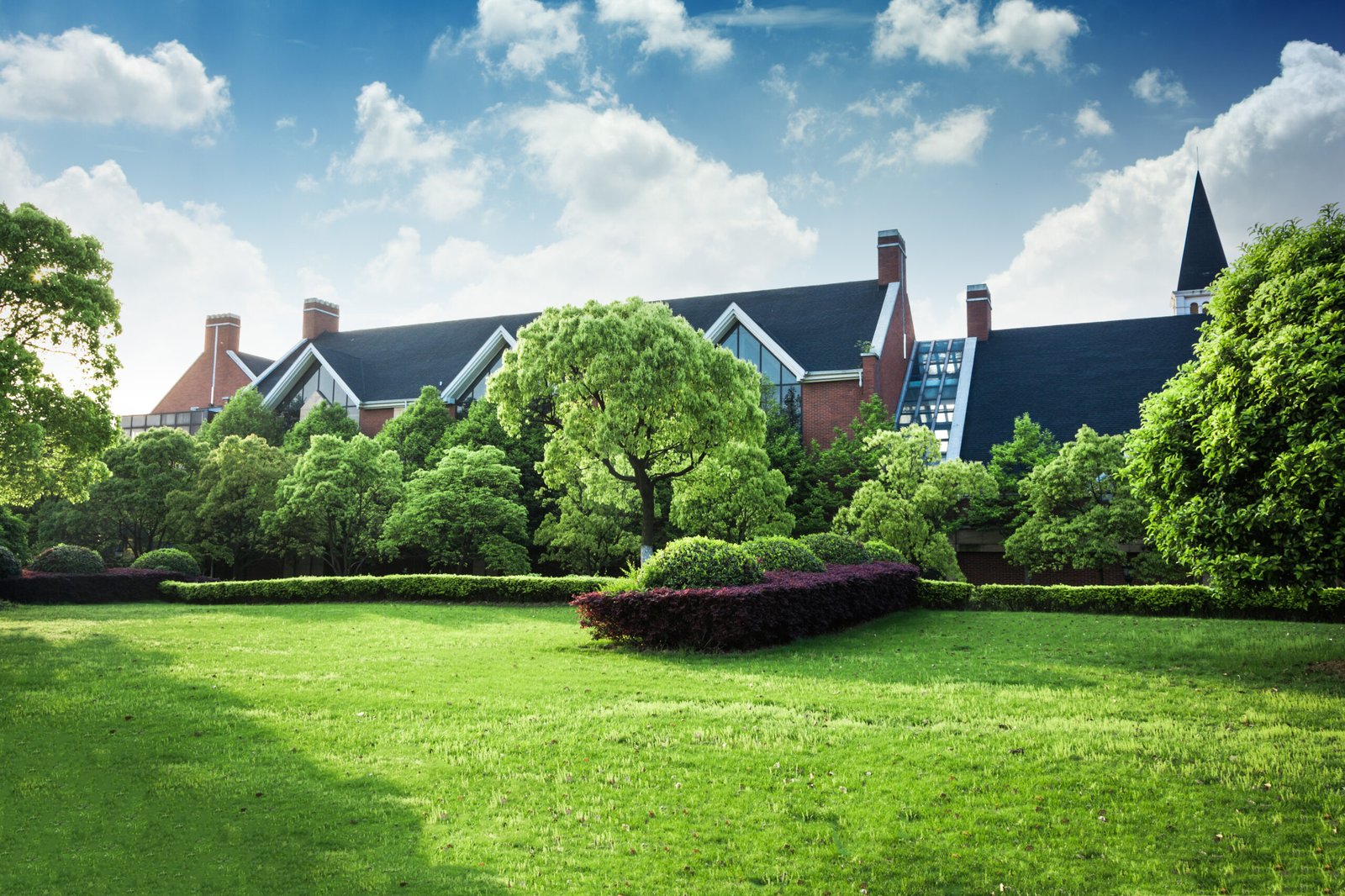 professional lawn care maintenance