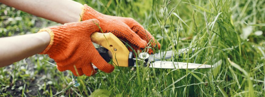 Professional lawn trimming in Connecticut for healthy grass growth