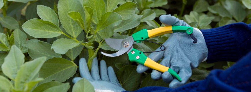 Natural weed control methods for lawns in Fairfield County, CT