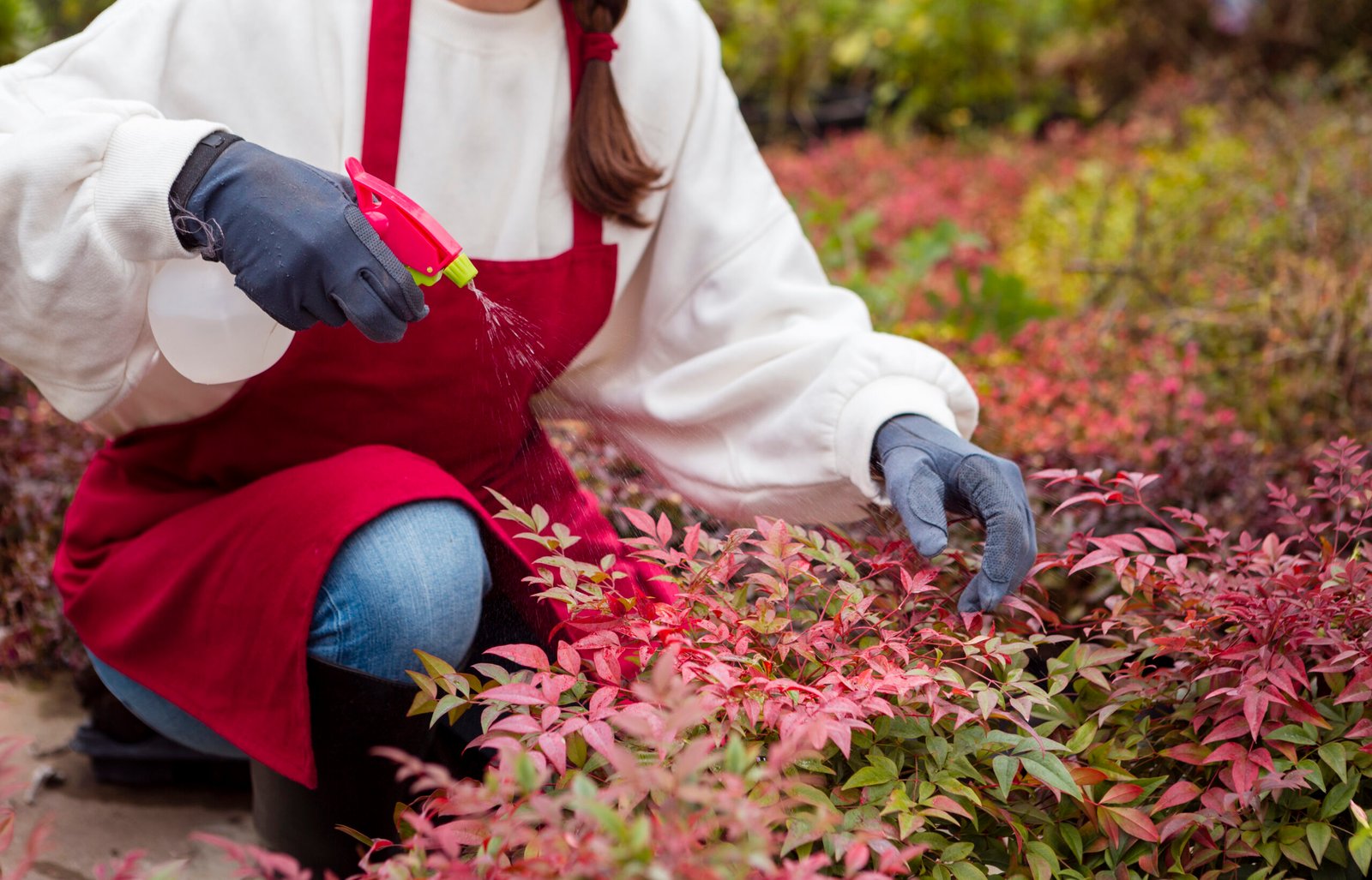 Seasonal Weed Control Guide for Bridgeport, CT Homes
