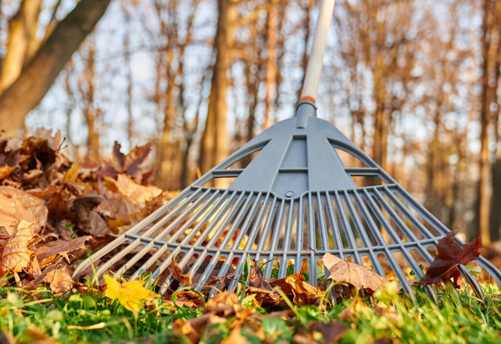 Homeowner performing spring yard cleanup and lawn maintenance in Greenwich CT