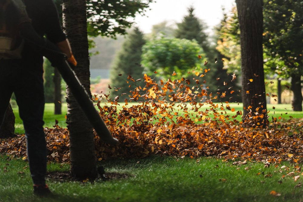 Professional spring yard cleanup in Norwalk, CT, with leaf removal and garden bed maintenance