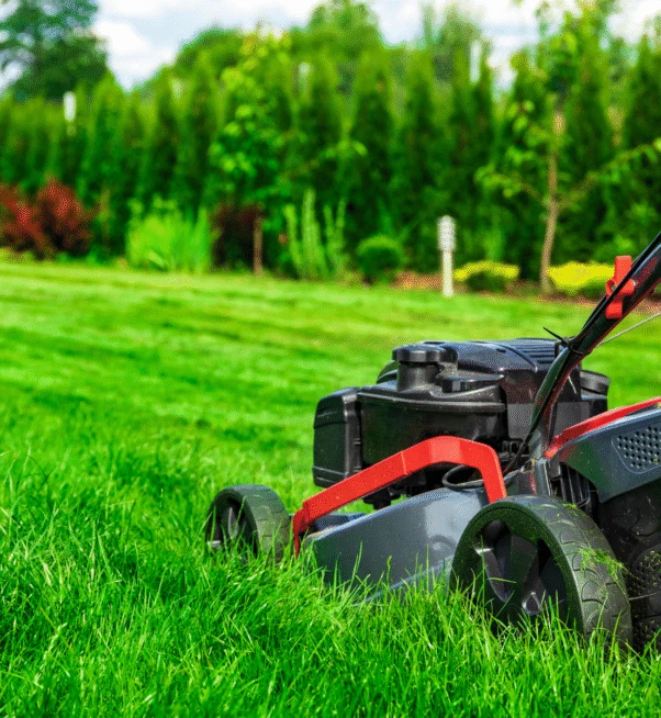 Lawn Mowing Services