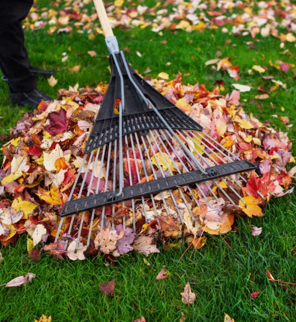 spring and fall cleanup