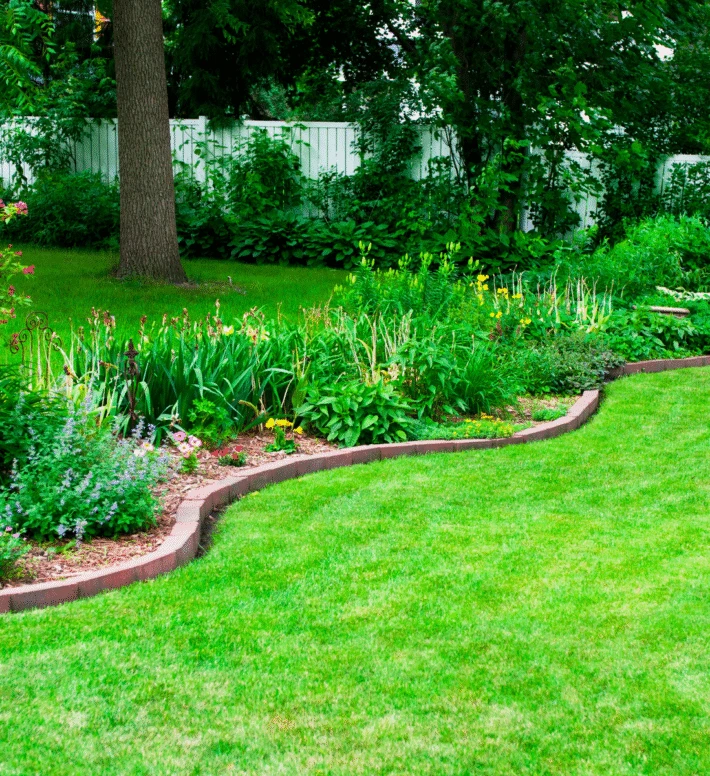 lawn care in ct